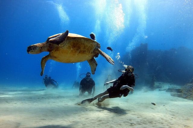 2 Days Guided Scuba Certification Course by PADI in Kapolei - Photo 1 of 5